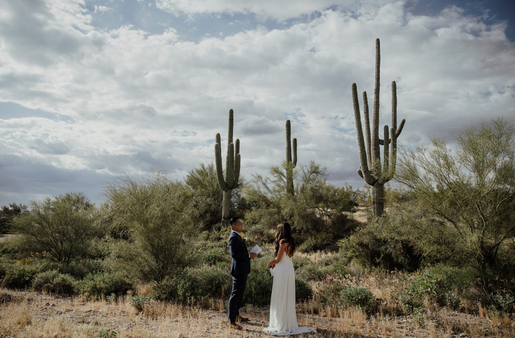 Bride and groom at their elopement next to cactus in Phoenix, Arizona
