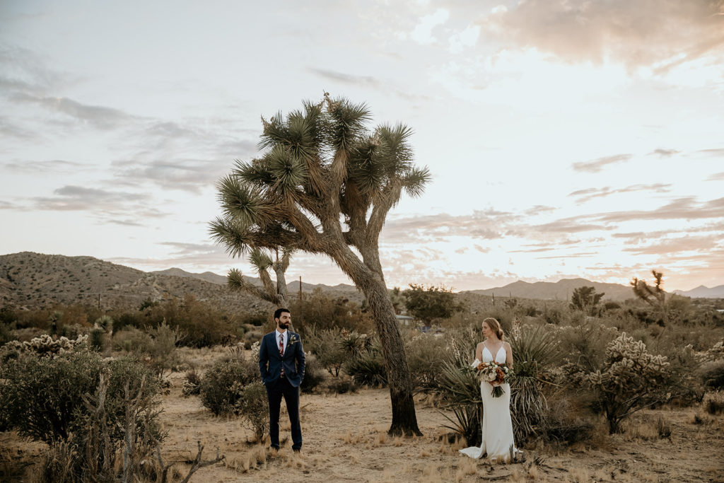 Bride and groom at their elopement in Joshua Tree National Park