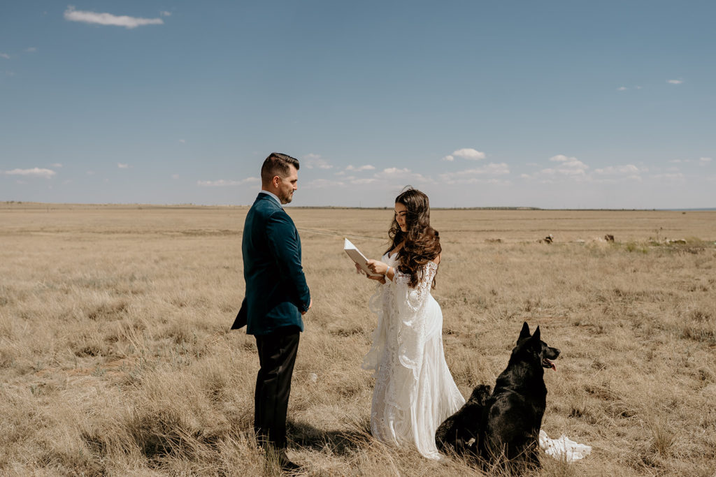 bride and groom reading their vows with the dogs next to them in a field

