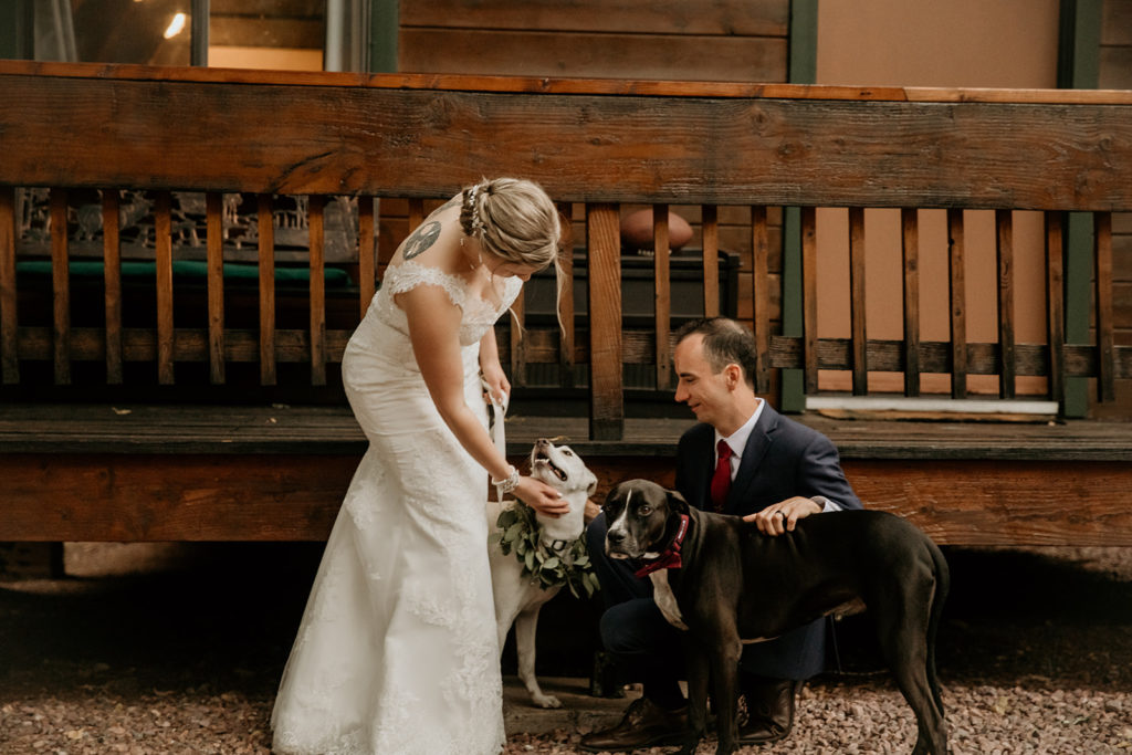 Bride and groom petting their dogs at their wedding at a cabin near Mt Rainier National Park
