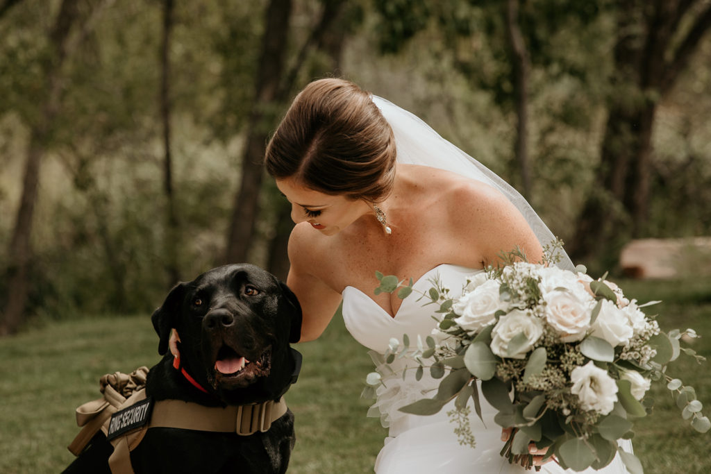 Bride with her dog on her wedding day in Zion National Park