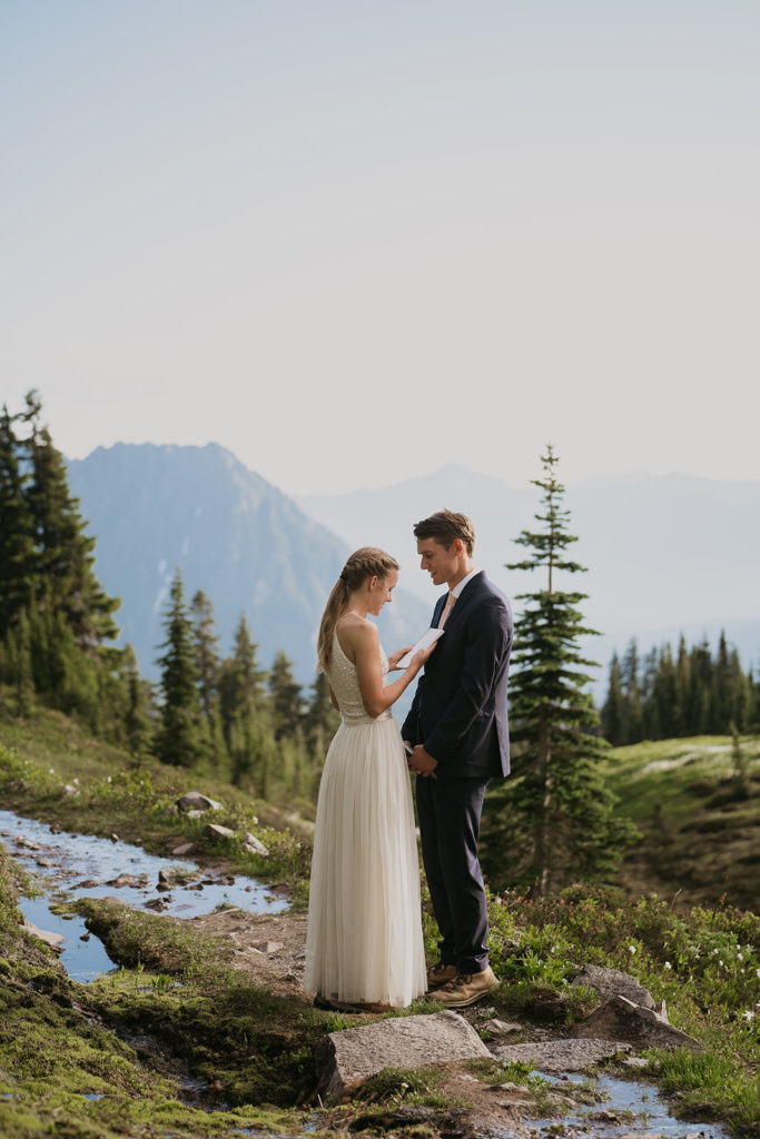 bride and groom are reading vows with mountains in the background at mount rainier national park on their wedding day