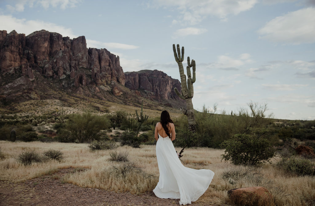 bride turned looking at a cactus with dress flowing in the wind