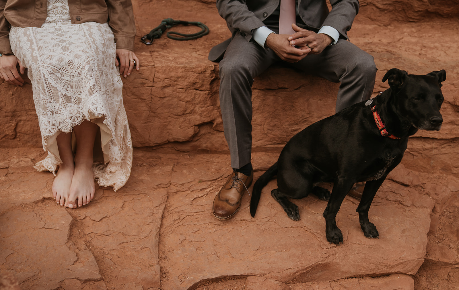 bride and groom with dog at elopement